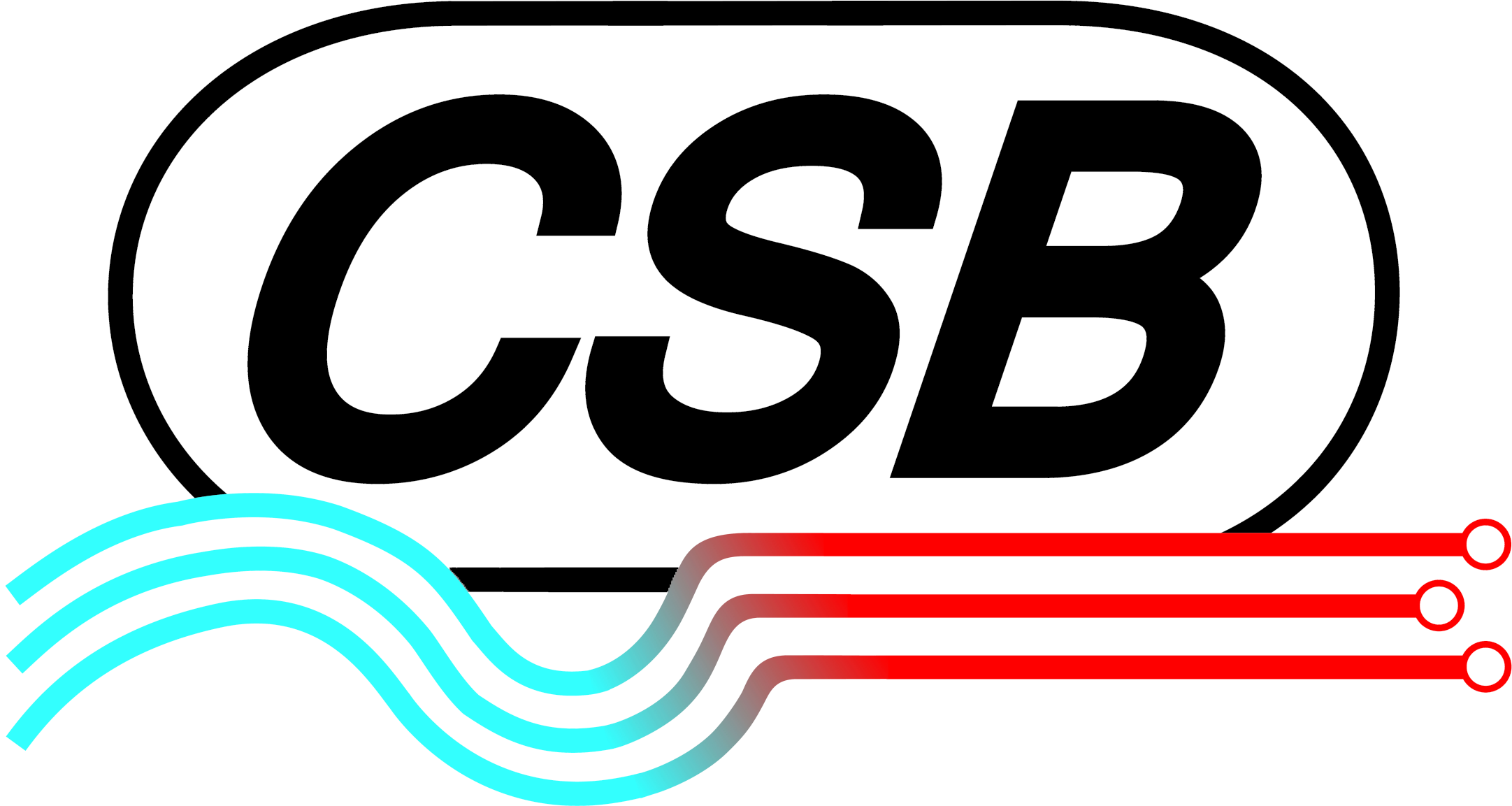 CSB-Logo pg